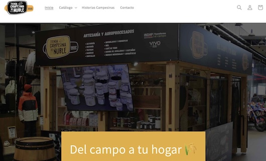 Tienda Campesina Ñuble en Mall Vivo Chillán, venta directa de productos locales de agricultores y agricultoras.