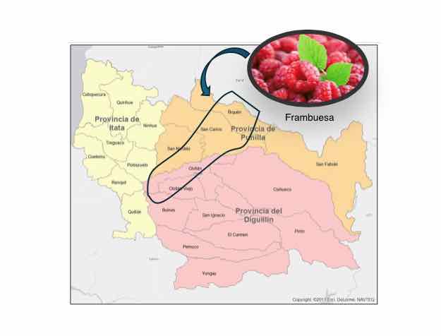 frambuesa-mapa