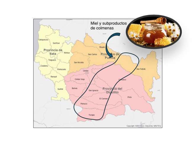 miel-mapa