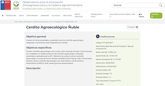 Screenshot proyecto Cerdito agroecológico carne sustentable 2022 Ñuble, ejecutado por Guillermo Henríquez con FIC Ñuble y FIA.