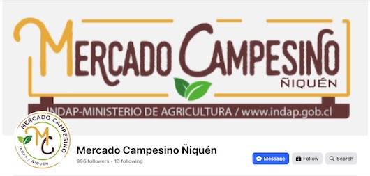 Screenshot Mercado Campesino Ñiquén, frutas, verduras, miel y artesanías locales en sector Huenutil, Ñuble.