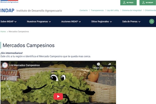 Screenshot Mercado Campesino Rucapequén INDAP, feria dominical con productos frescos y campesinos en Chillán.