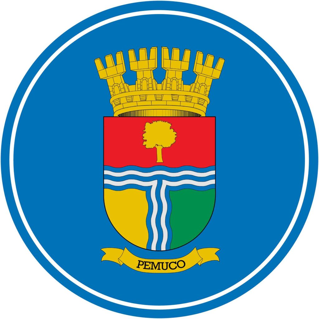 Municipalidad de Pemuco Ñuble, portal de trámites municipales y servicios locales.