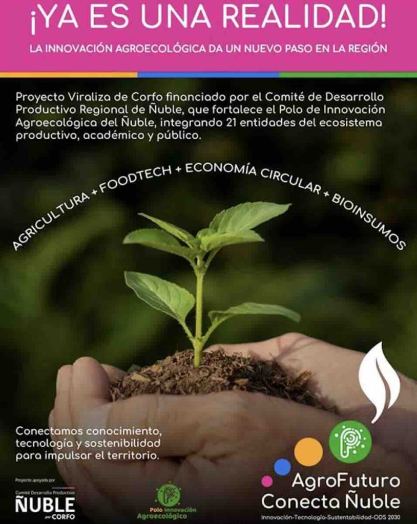 AgroFuturo Conecta Ñuble 2026 innovación agrícola bootcamp agroecología riego inteligente bioinsumos networking emprendimiento agrícola