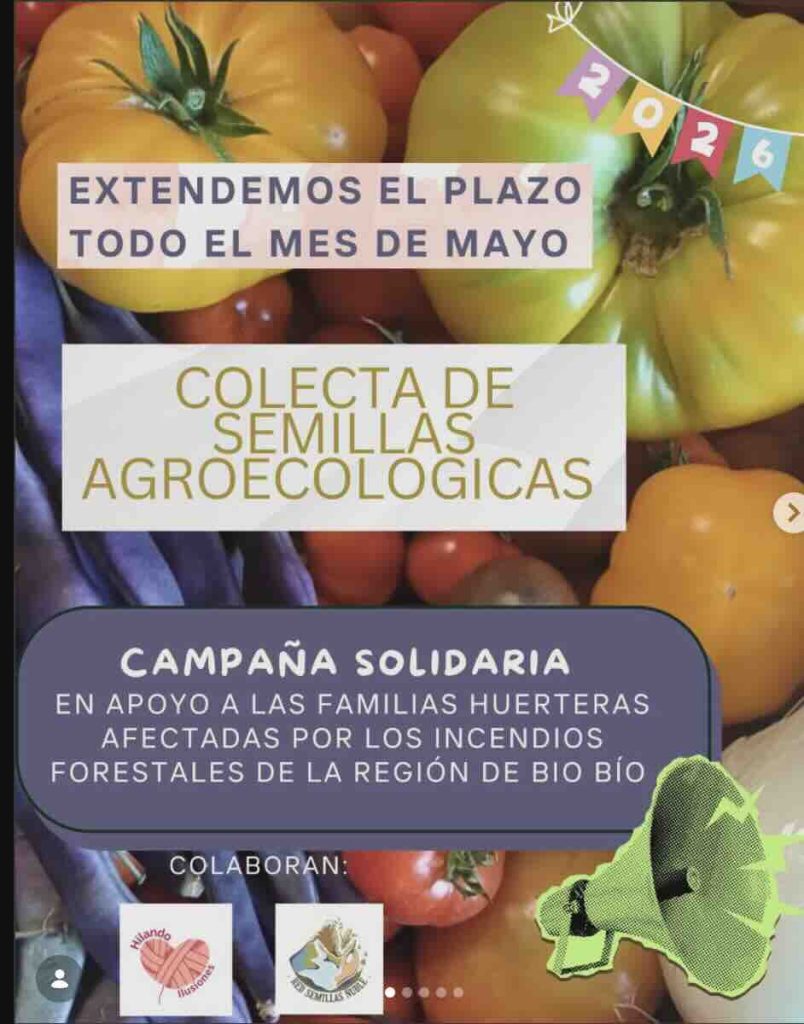 Campaña solidaria de colecta de semillas en Ñuble para apoyar comunidades afectadas por incendios forestales y huertas agroecológicas.