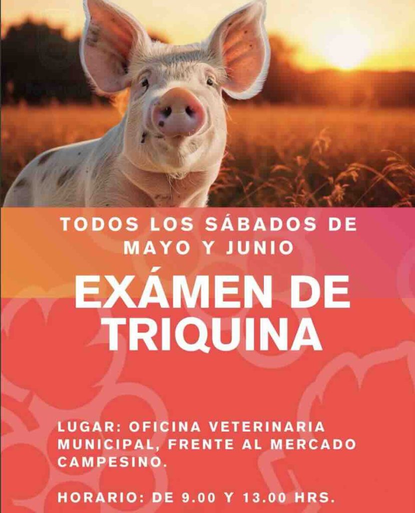 Programa gratuito de análisis de triquina en Portezuelo para prevención sanitaria y consumo seguro de alimentos.