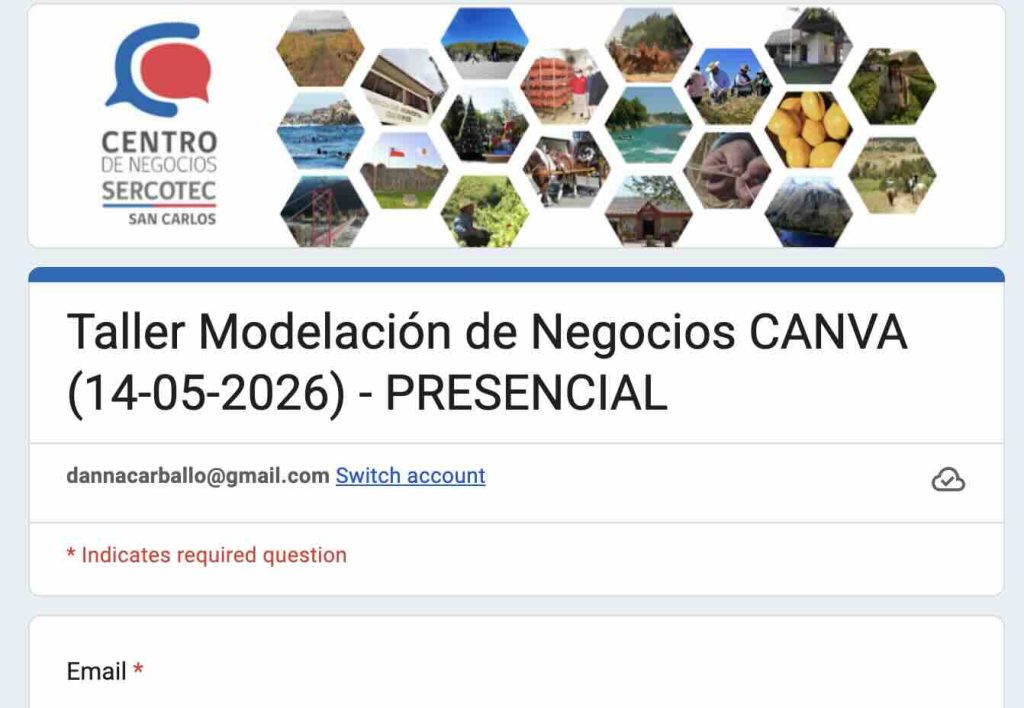 Taller modelación negocios CANVA SERCOTEC San Carlos Ñuble modelo negocio presencial emprendimiento